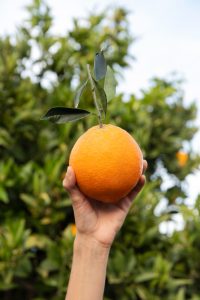 Los beneficios de las naranjas